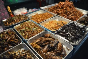 Insect-Based Foods Shift from Future Human Cuisine to Pet Products