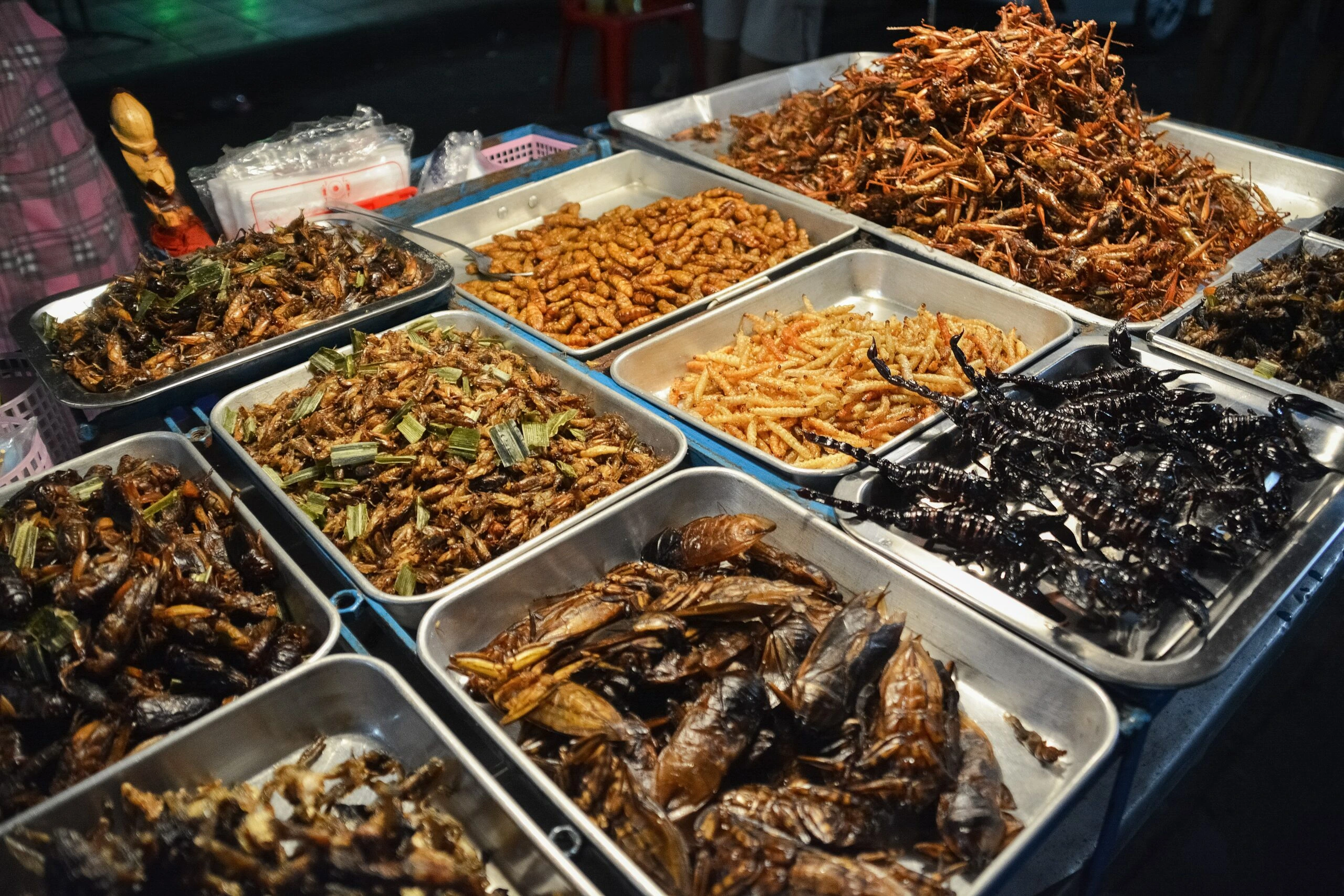 Insect-Based Foods Shift from Future Human Cuisine to Pet Products