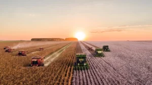 Record Breakers: Brazil's Farming Exports Soar Beyond Expectations