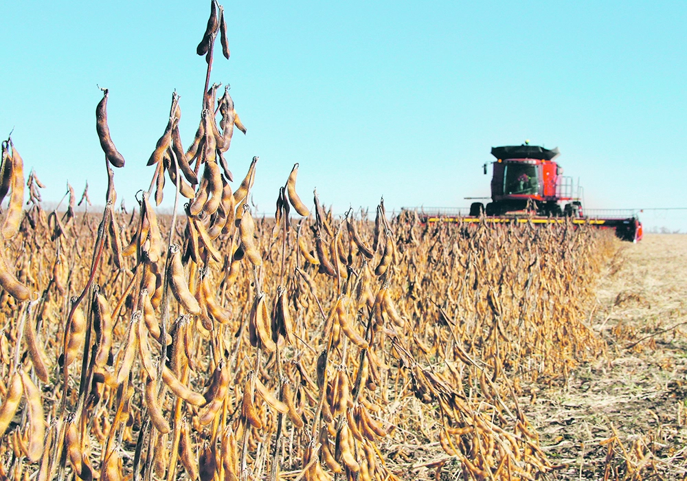 Uruguay Anticipates Near-Record Soy Harvest After Severe Drought