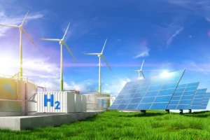 Brazil's Green Energy Financing Leaders