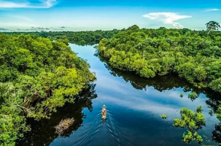 Amazon's Early 2024 Deforestation at Six-Year Low. (Photo Internet reproduction)