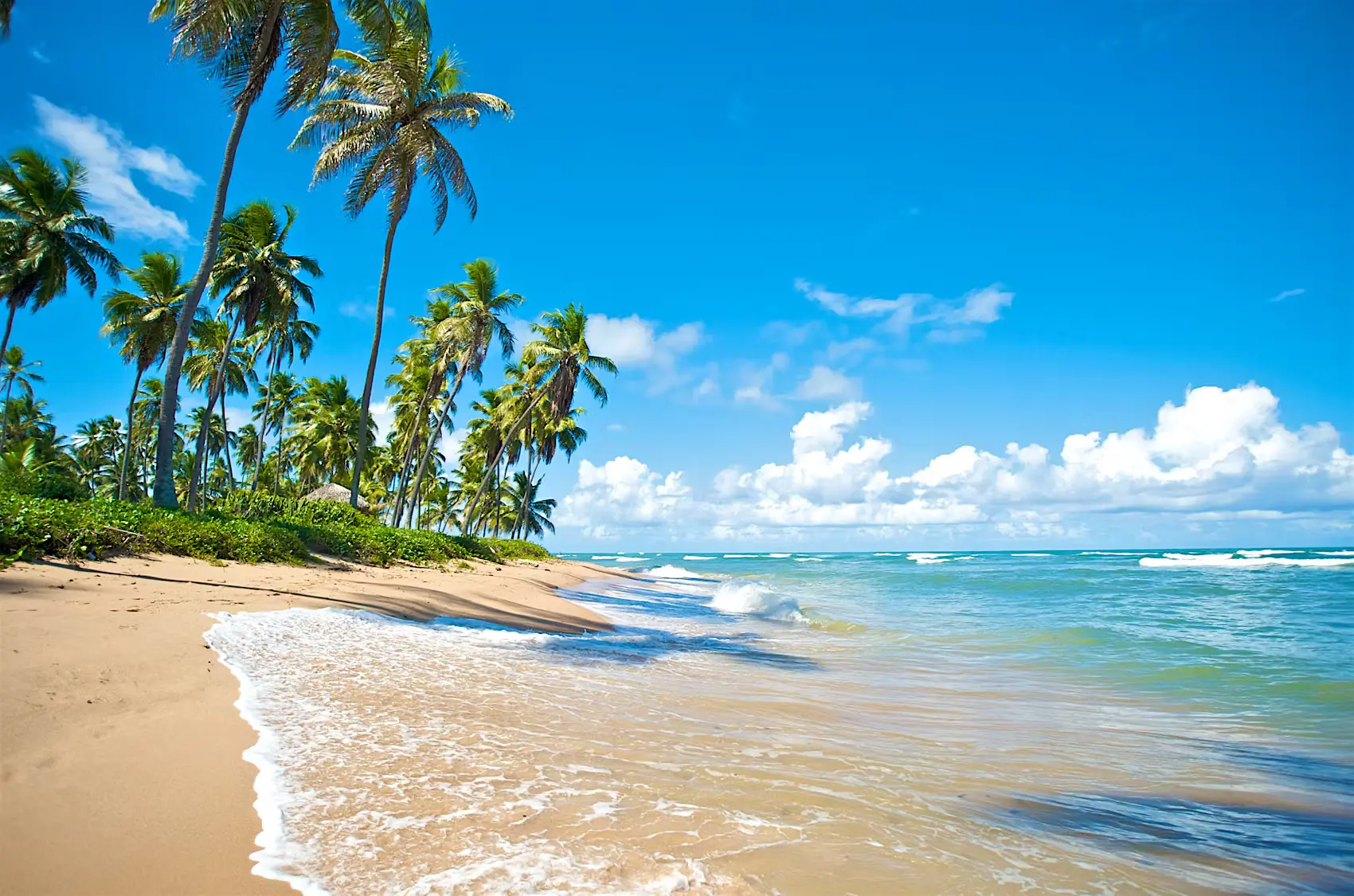 Foreign Tourists Contribute $800M to Brazil in January. (Photo Internet reproduction)