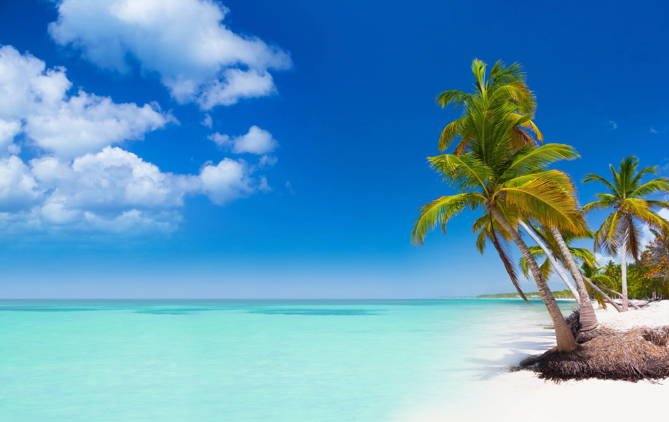 Top Five Caribbean Destinations Drawing Crowds - Dominican Republic. (Photo Internet reproduction)