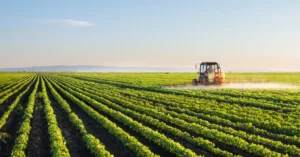 Brazil Targets 2025 Budget Savings with Social Security and Farming Reviews