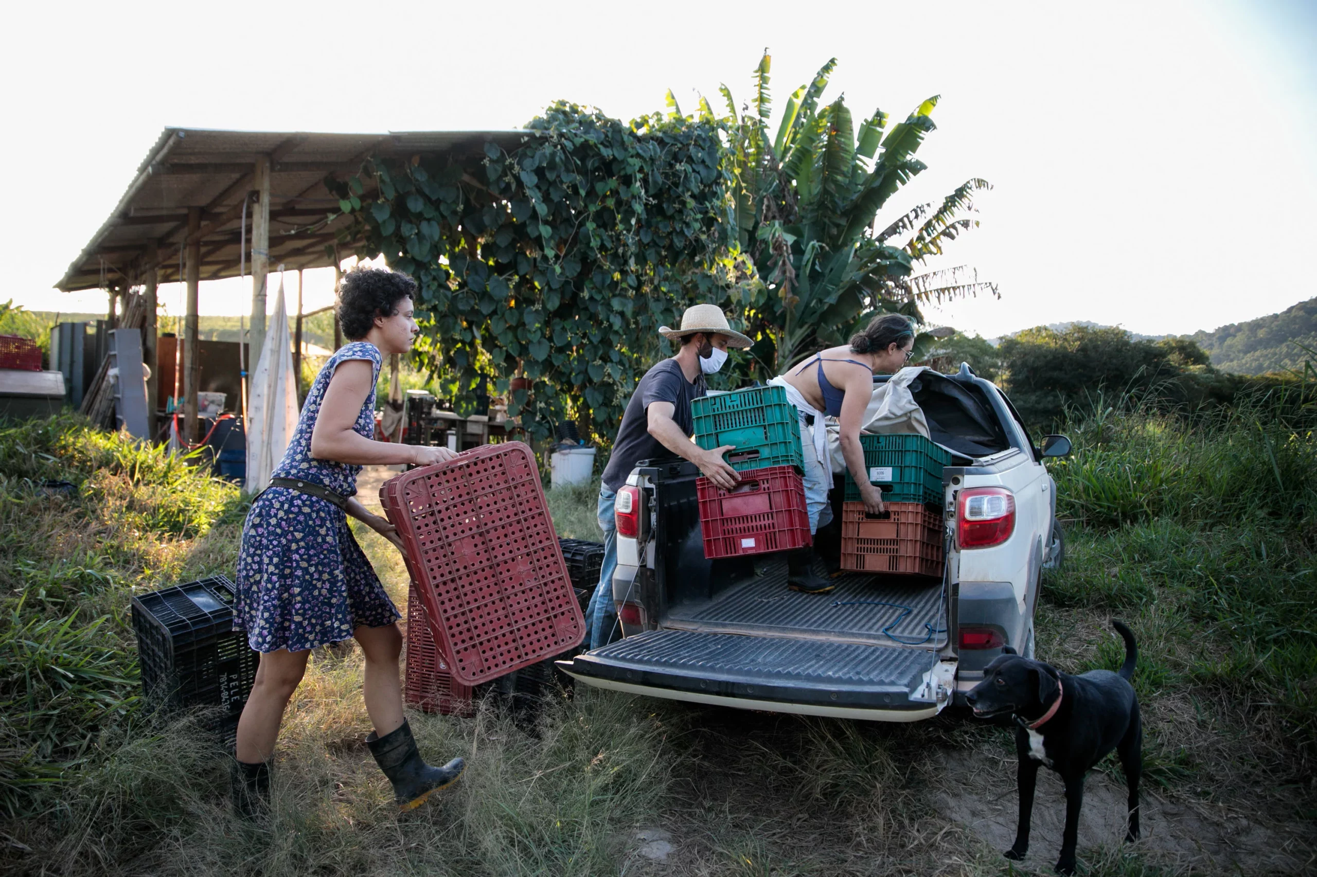 Brazil Supports Farmers Facing Hard Times. (Photo Internet reproduction)