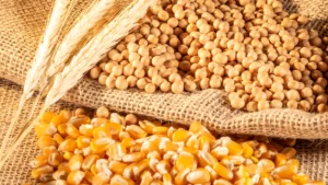 Soybeans Up, Corn and Wheat Down: USDA Planting Update