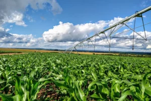 Brazil Expands Global Reach with 100 New Agricultural Markets