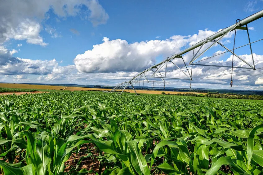 Brazil Expands Global Reach with 100 New Agricultural Markets