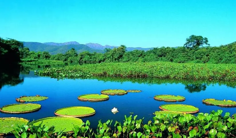Brazil's Strategic Push Towards Green Tourism Growth. (Photo Internet reproduction)