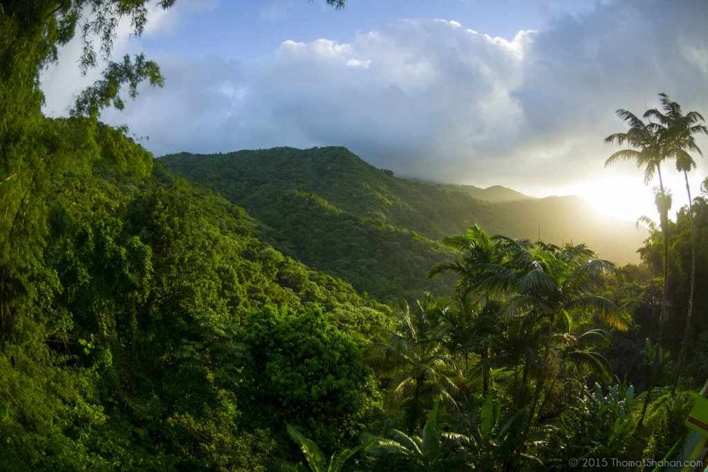 Top Five Caribbean Destinations Drawing Crowds - Puerto Rico (Photo Internet reproduction)