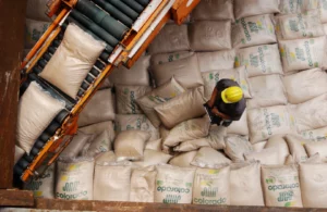 Brazil's Sugar Exports Surge in February