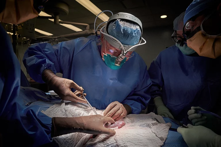 Organ Transplant Breakthrough: Human Receives Gene-Edited Pig Liver