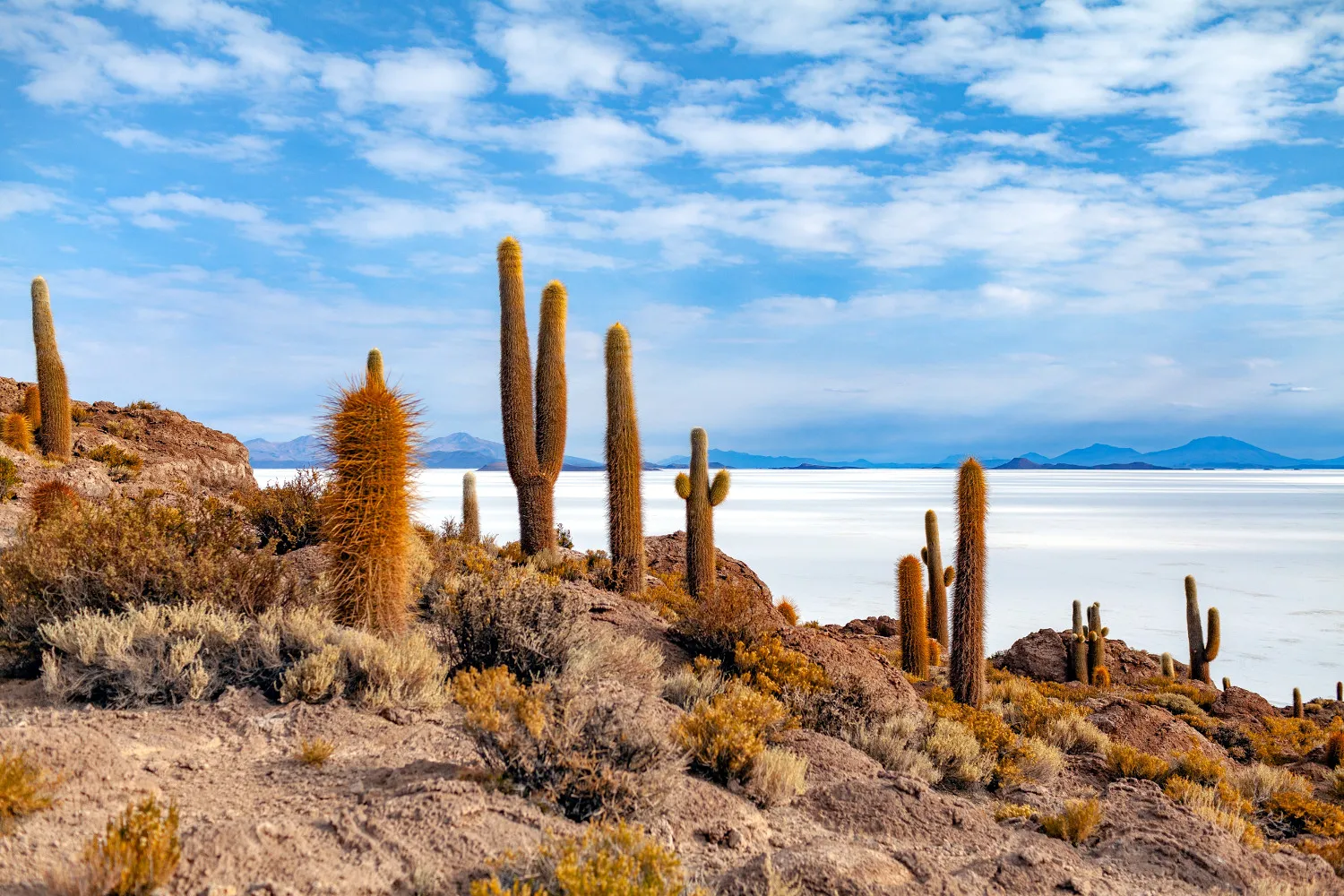 bolivia