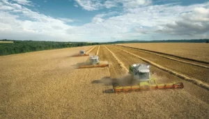 Global Soy and Corn Supply Tweaked in Latest USDA Insights