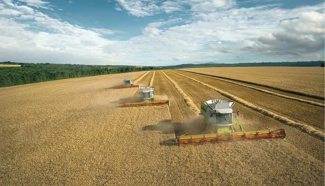 Global Soy and Corn Supply Tweaked in Latest USDA Insights