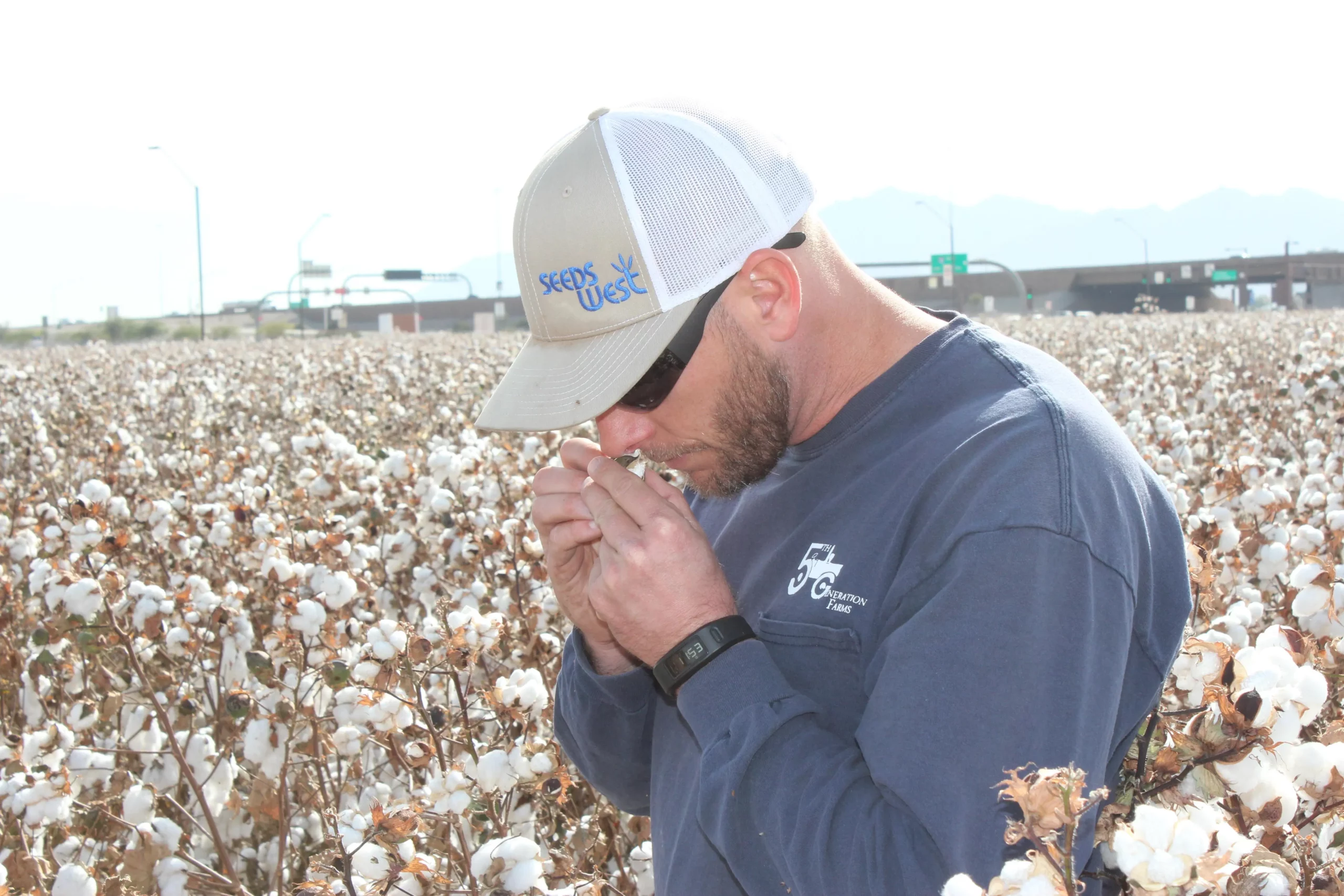 Crisis Hits U.S. Cotton Farmers. (Photo Internet reproduction)