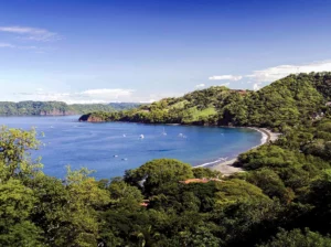 Costa Rica's Golfo Dulce: A Paradise of Biodiversity and Eco-Tourism
