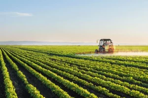 Brazil's Senate Votes on Country's Self-Reliance in Fertilizers