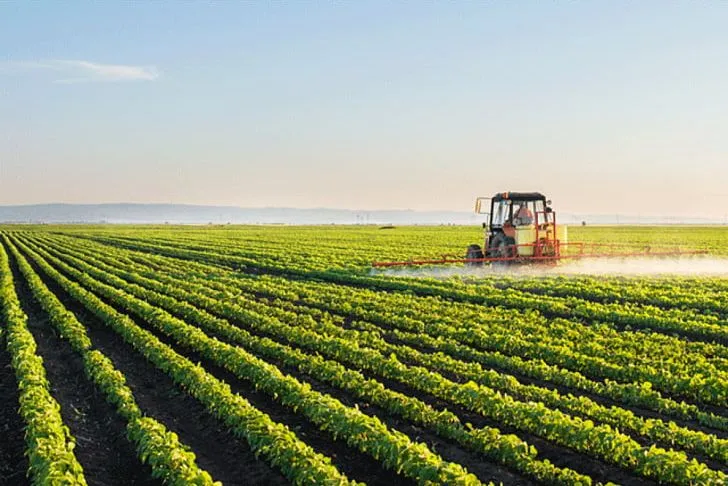 Brazil's Senate Votes on Country's Self-Reliance in Fertilizers
