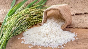 Brazil's Rice Exports Decline in Early 2024