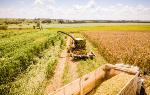 Record-Breaking Agribusiness Exports in February Reach $11.63 Billion