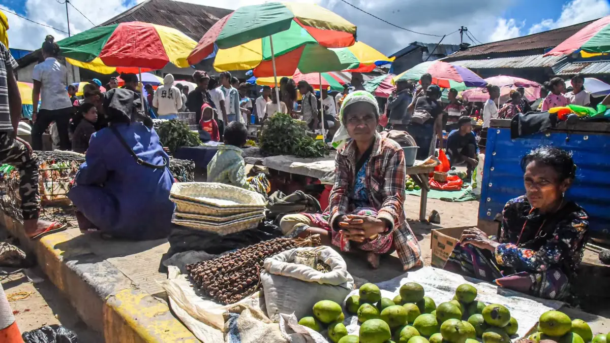 Hunger Alarms Ring in Timor-Leste Amidst Food Shortage