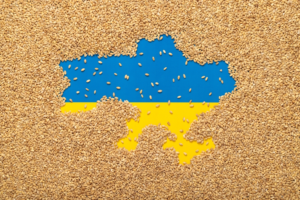Ukraine's Grain Diplomacy in Africa. (Photo Internet reproduction)