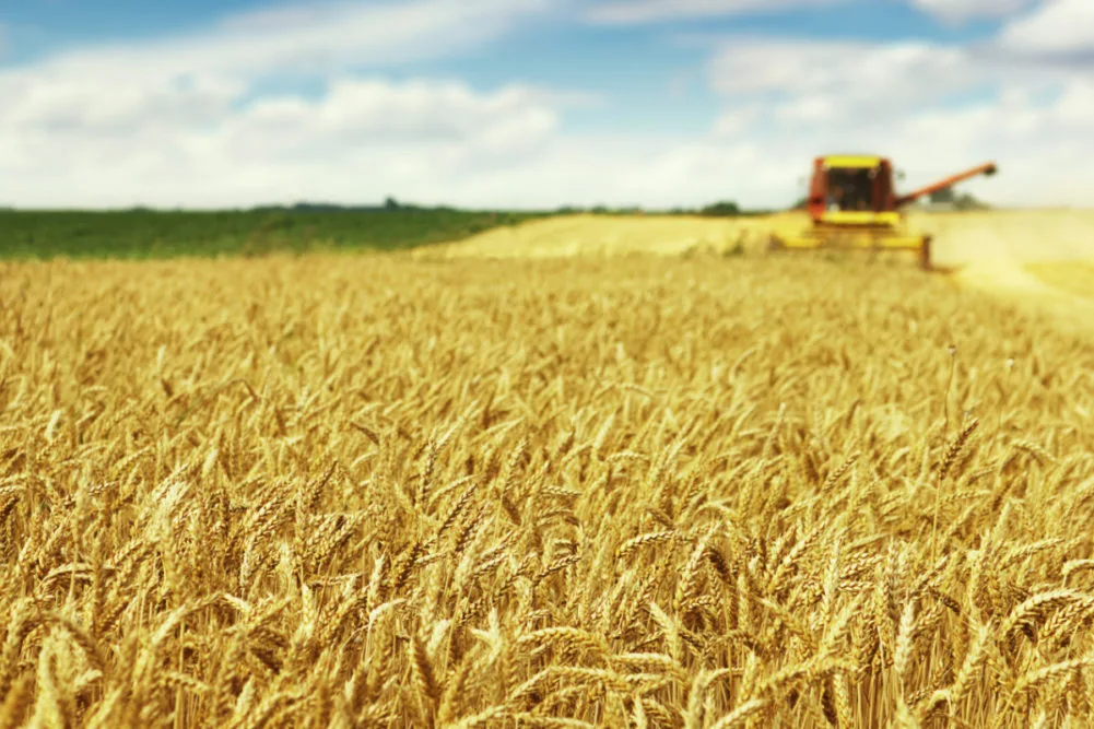 Australia Raises Crop Output Projections for 2023/24