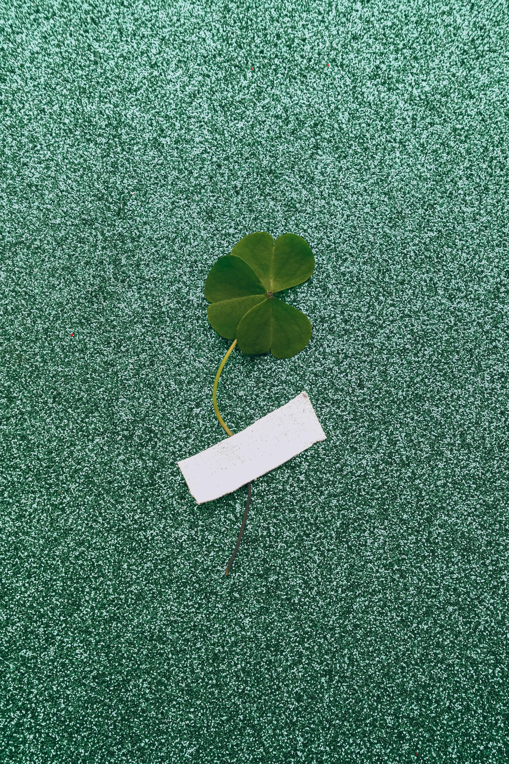 Experience the Luck of the Irish with Charms and Clovers Slot Game. (Photo Internet reproduction)