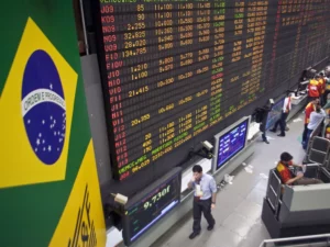  Brazilian Stocks Weather Global Economic Fluctuations