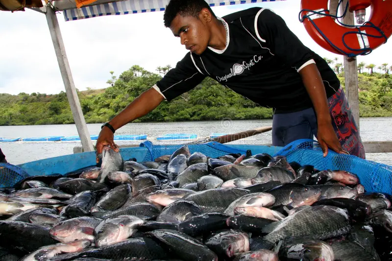 Fish Farming