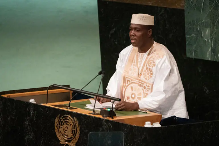 Mali's Junta Suspends Party Activities Amid Calls for Democracy