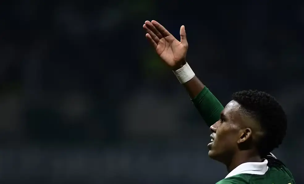 Palmeiras (2)
