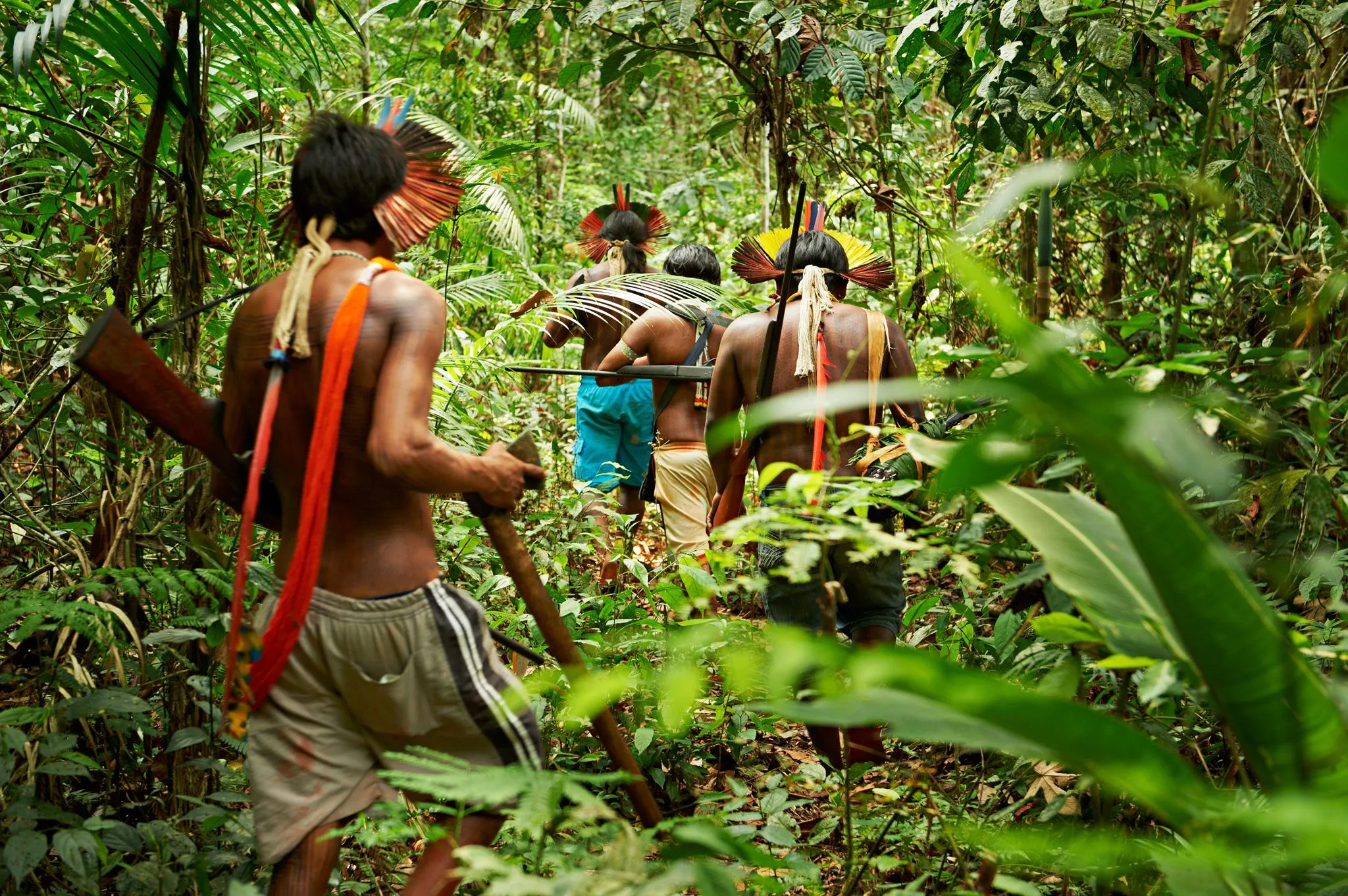 Brazil Expands Global Partnership to Protect Tropical Forests. (Photo Internet reproduction)