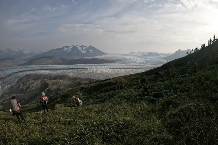 Rewilding the Digital Landscape: A New Vision for the Internet