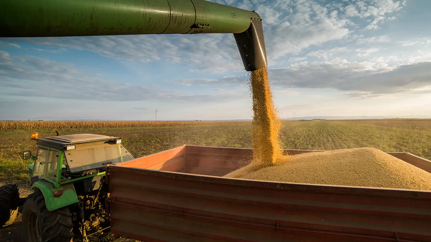 Brazil's Soybean Exports Up 2.2% in First Half, Corn Down 28%.