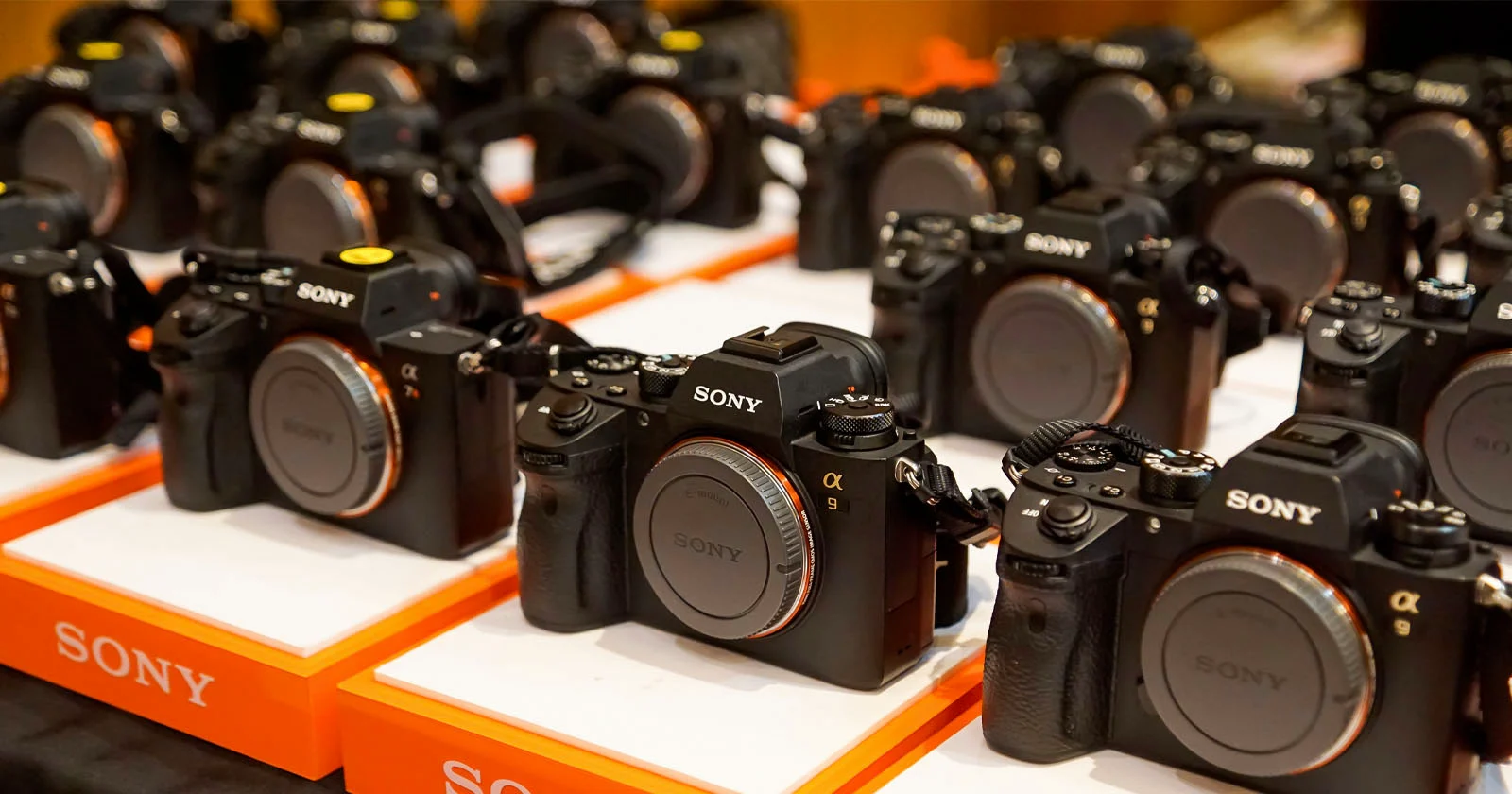 2023 Digital Camera Market Sees First Growth in a Decade