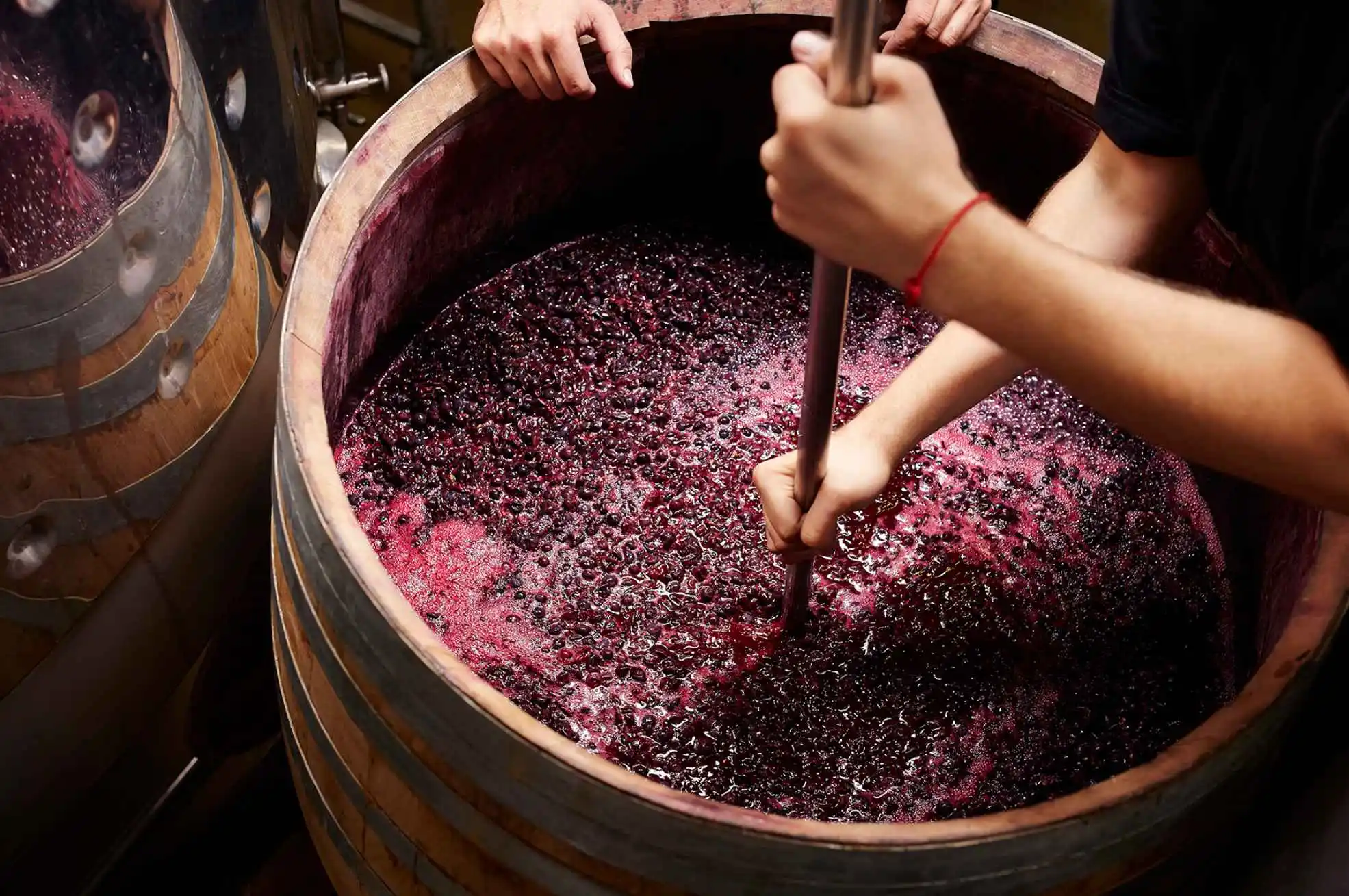 Brazil Defies Global Wine Production Decline. (Photo Internet reproduction)