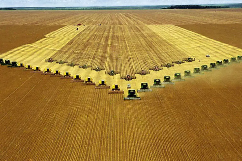 Brazil's Record-breaking Quarter in Agribusiness Expansion. (Photo Internet reproduction)