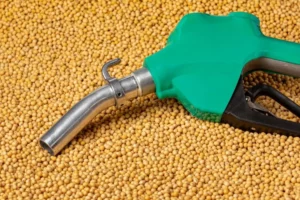 Surge in Brazil's Soy and Biodiesel GDP Amidst Real Income Decline