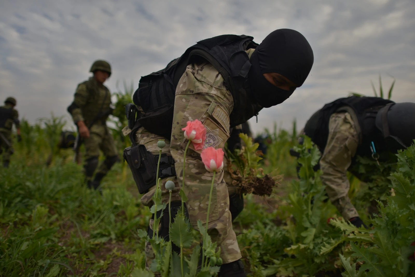 South America's Unified Front Against Organized Crime. (Photo Internet reproduction)