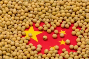 China’s Surprising Soybean Meal Boom: Why It Matters to the Global Market