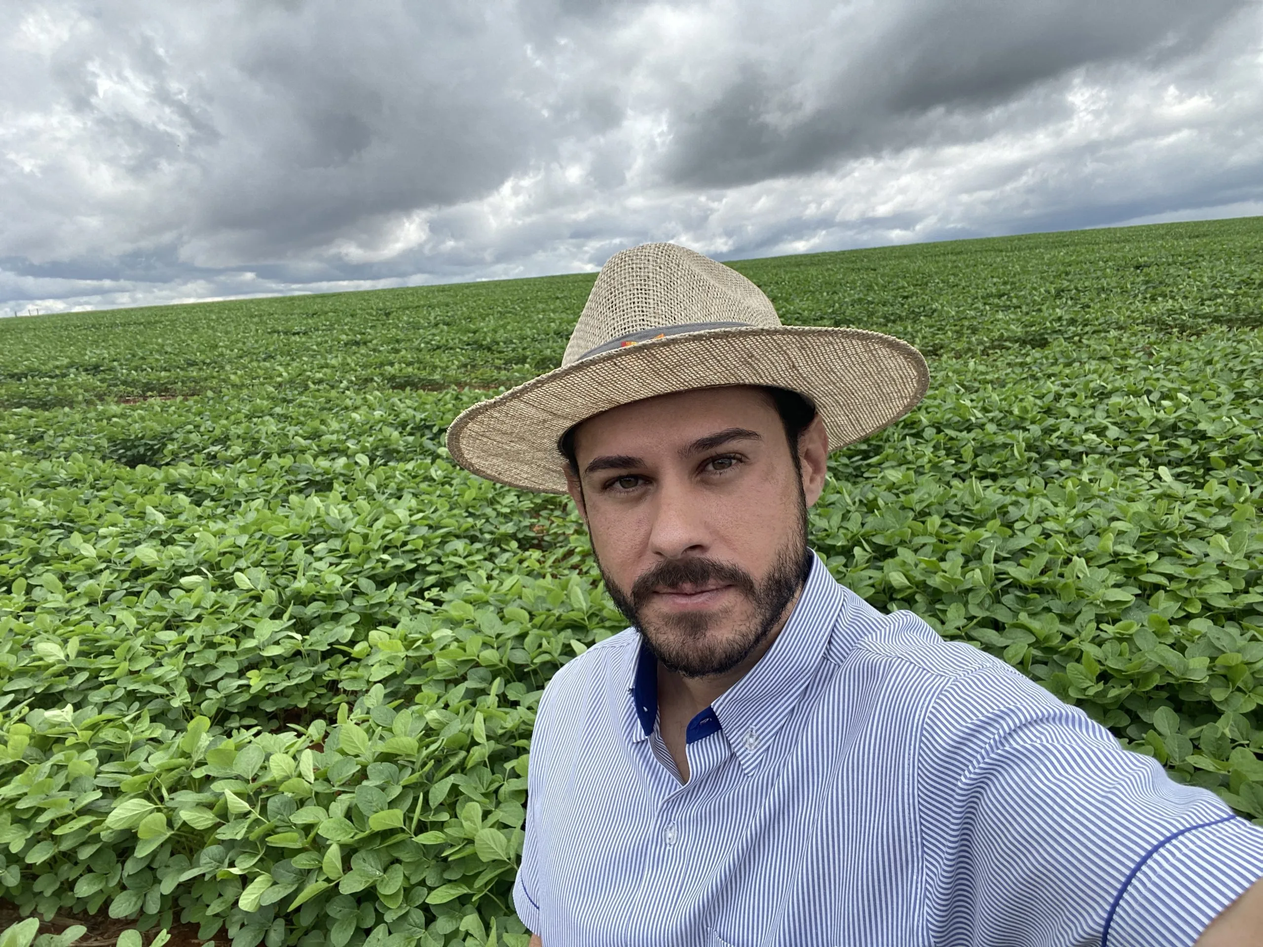 April Marks Historic High for Brazil's Agribusiness Exports. (Photo Internet reproduction)