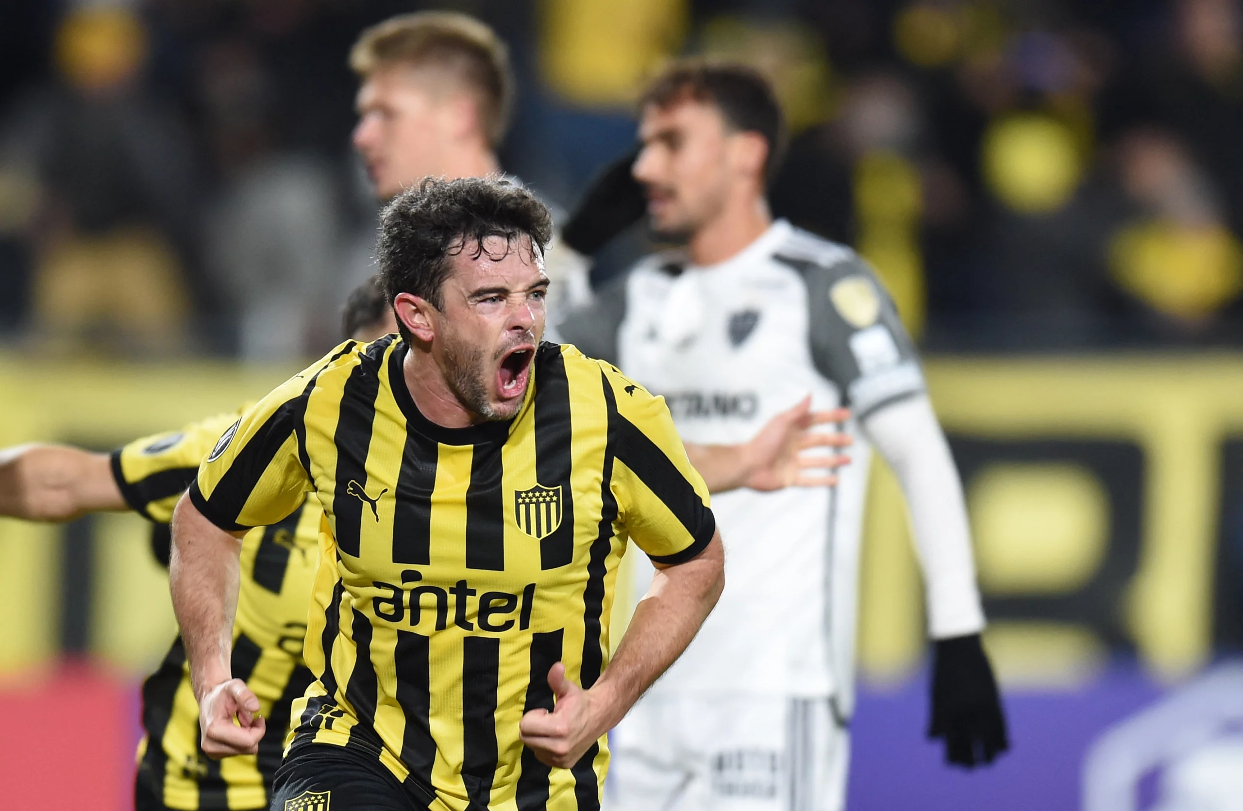 Penarol