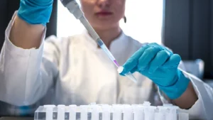 Lab-Grown Embryos Set to Redefine Cattle Breeding