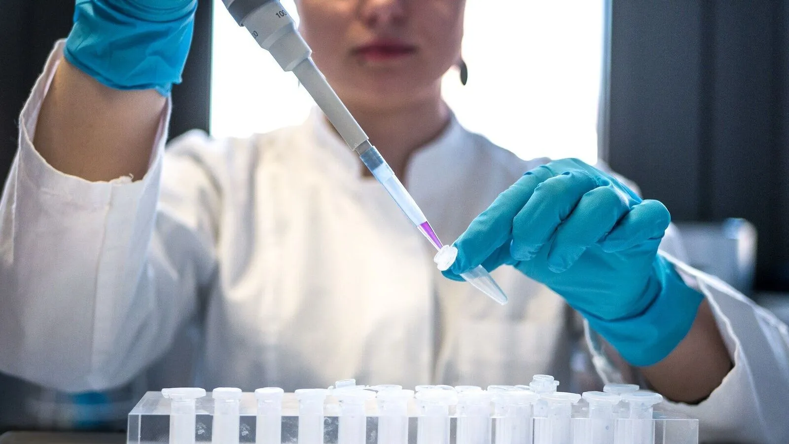 Lab-Grown Embryos Set to Redefine Cattle Breeding