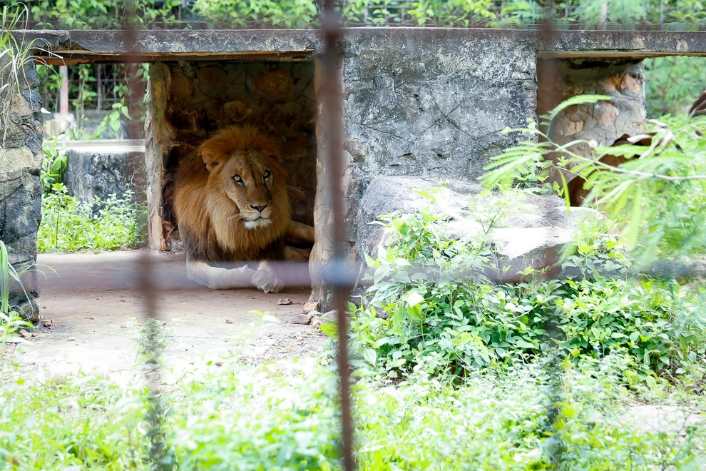 Zoo