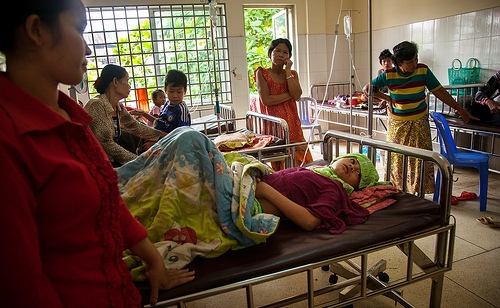 Brazil Accounts for Nearly 90% of Global Dengue Cases in 2024. (Photo Internet reproduction)