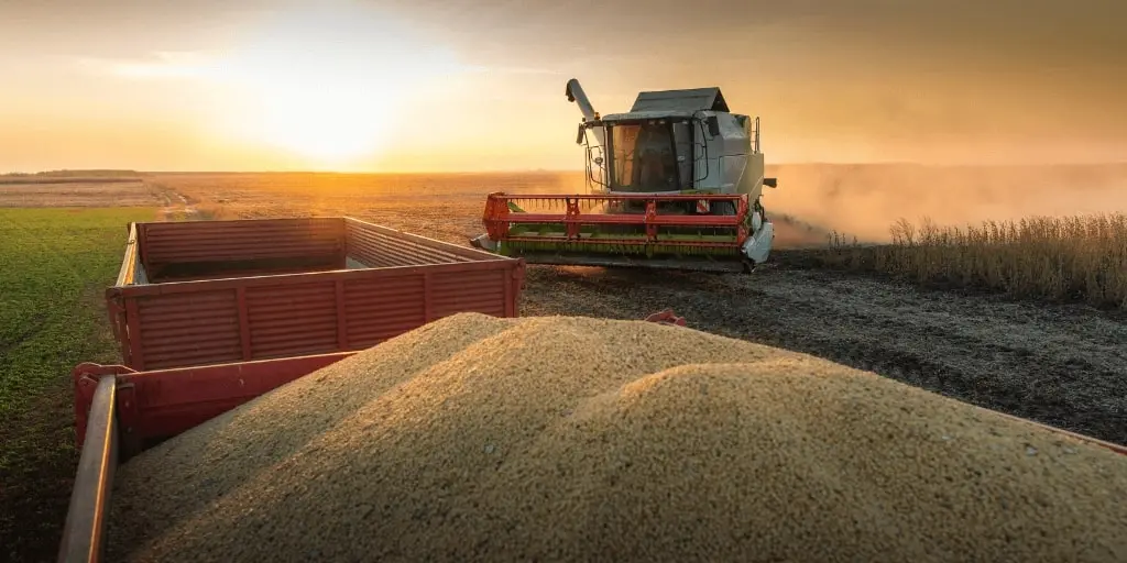 Brazil Projects Lower Grain Production for 2024. (Photo Internet reproduction)